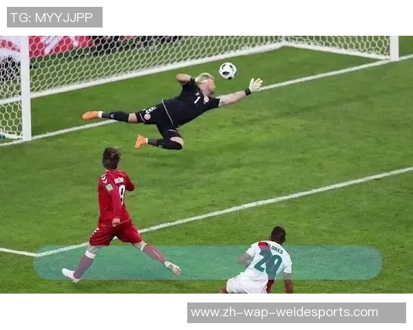 阿根廷与伊朗足球对决精彩回顾与战术分析